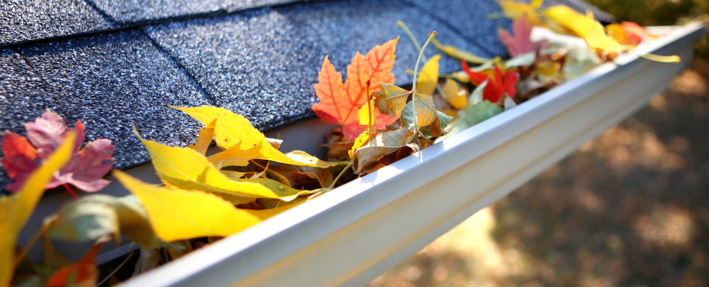 gutter cleaning services norwalk ct